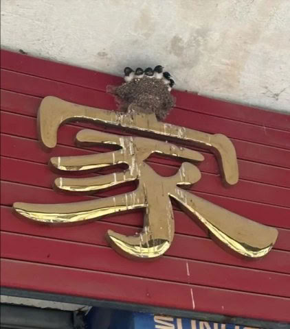 动态图片
