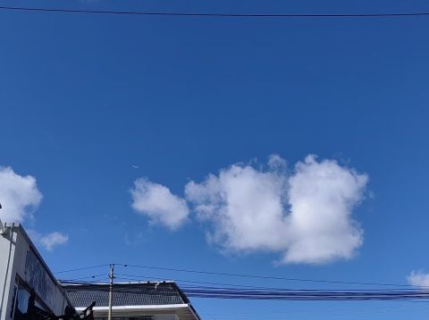 动态图片