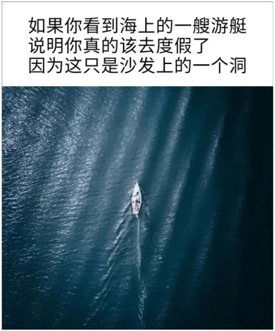 动态图片