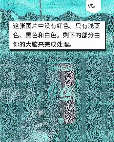 动态图片