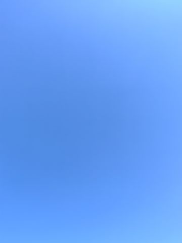 动态图片