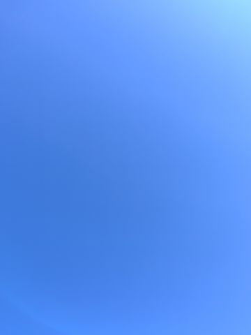 动态图片