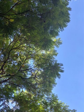 动态图片