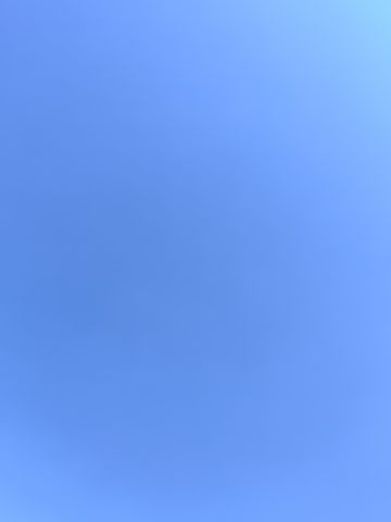动态图片