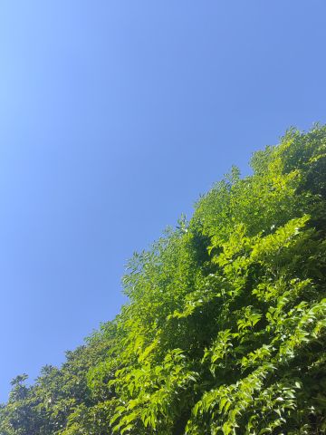 动态图片