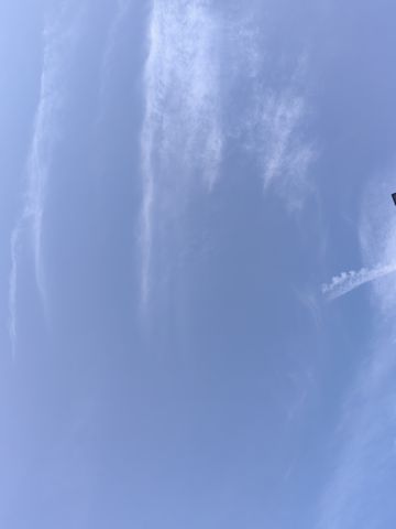 动态图片