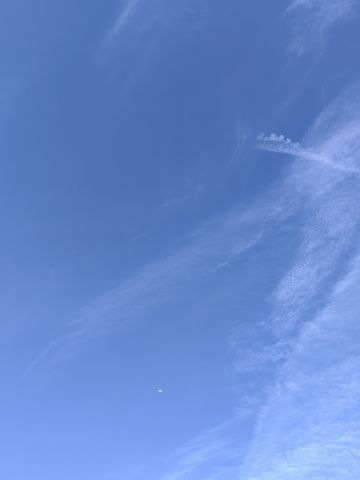 动态图片