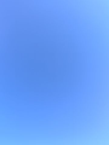 动态图片