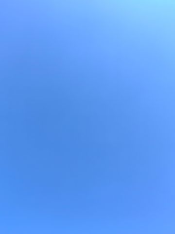 动态图片