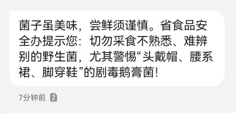 动态图片