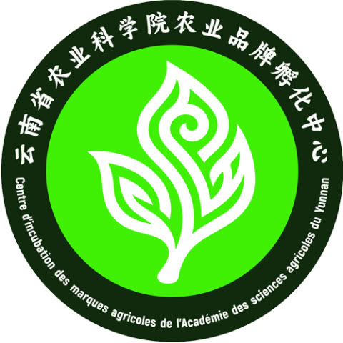 动态图片