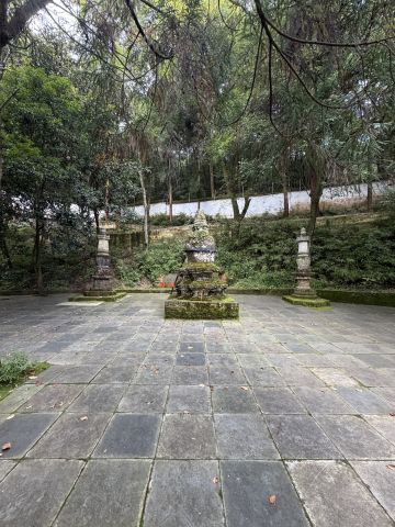 动态图片