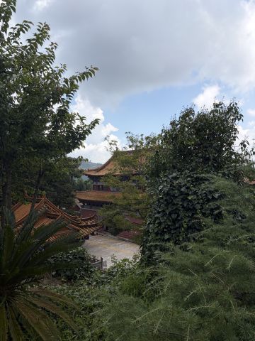 动态图片
