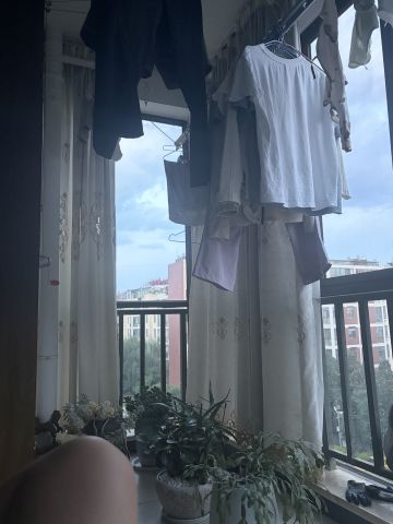 动态图片